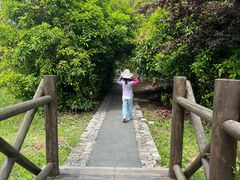 -苏州太湖国家湿地公园