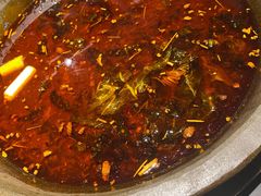 -石锅苗苗鱼(武汉首店)