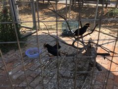 -武汉紫薇都市田园