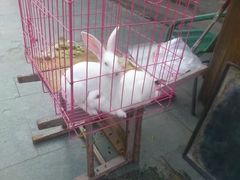 -亿利库布其七星湖沙漠生态旅游区