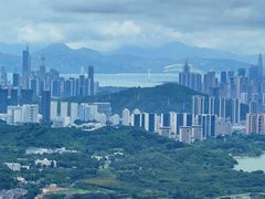 -阳台山森林公园