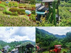 -广东天露山旅游度假区