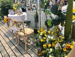 -晴川假日酒店·宴会厅·会议厅