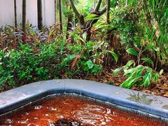 -广州都喜泰丽温泉度假酒店