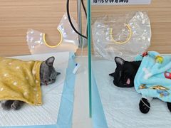 -达爱动物医院·犬猫分区·CT·复杂眼科(远洋山水分院)
