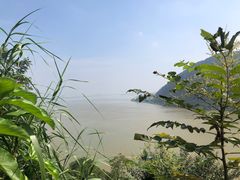 -羚羊峡古栈道森林公园