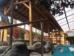 -大江户·温泉洗浴(浑南店)