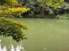 -海兰云天度假区温泉