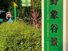 -野象谷景区