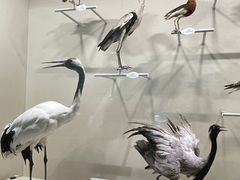 -中国湿地博物馆