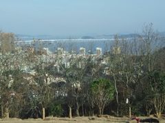 android_upload_pic-青龙山公园