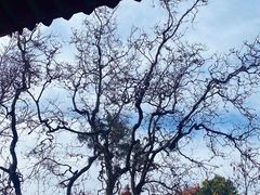 -雪霁山庄·合肥地标老字号
