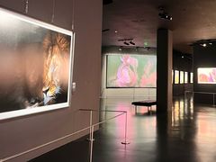 -罗红摄影艺术馆