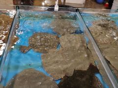 -渔公码头·九龙湾国际饭店