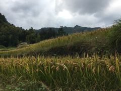 -公盂村