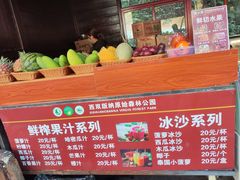 -西双版纳原始森林公园