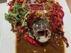 -杨氏青龙虾·羊蝎子(托乐嘉店)