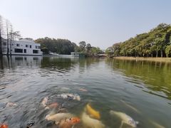 -华南国家植物园-售票处