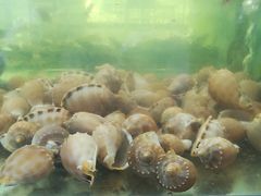 -国际金钻海鲜餐厅