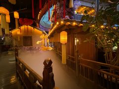 -叶叶菩提(太原别墅店)