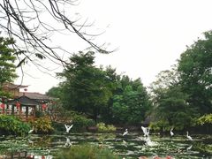 -广州莲花山旅游区