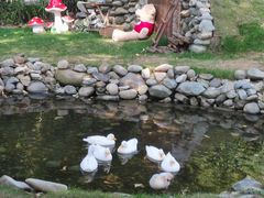 -HERRE·FARM 赫尔露营农场·团建聚会包场