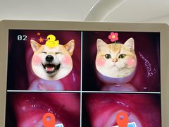 -圣贝口腔(海淀店)