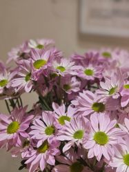 -无界瑜伽普拉提