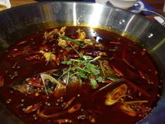 -红牌美蛙鱼头火锅(万辉国际广场店)