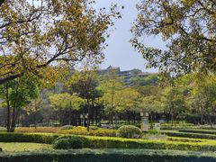 -顺峰山公园
