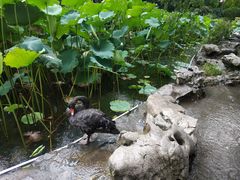 -莹珠阁·私房菜