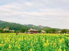 -红山村