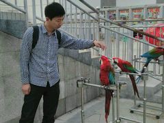-临沂动植物园
