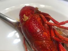 -同庆楼(华强吾悦广场店)