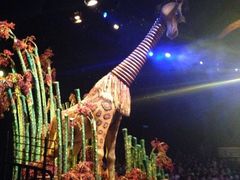 iphone_upload_pic-狮子王庆典