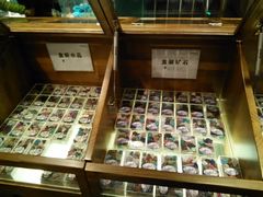 -Behring World of Animals(上海自然博物馆店)