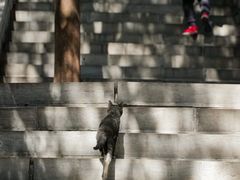 -四门塔风景区