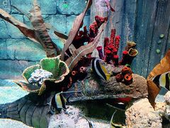 -沈阳海洋探索中心