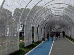 -渤公岛生态公园