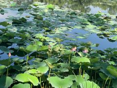 -承德避暑山庄景区
