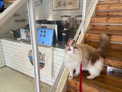 -小意思咖啡店(草桥店)