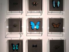 -剪刀石头布家居广场