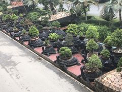 -东芭乐园