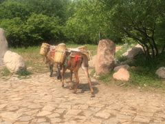 -玉渡山自然风景区