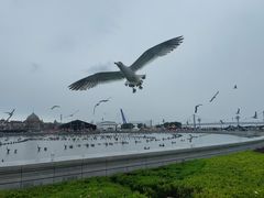 -星海广场