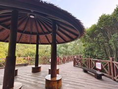 -大亚湾红树林城市湿地公园