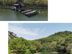 -鲁镇