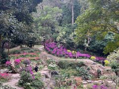 -广州市白云山风景名胜区