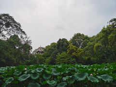 -成都杜甫草堂博物馆