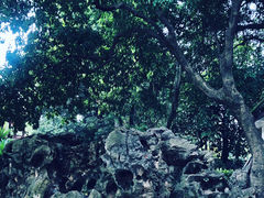 -西湖公园(鼓楼区)